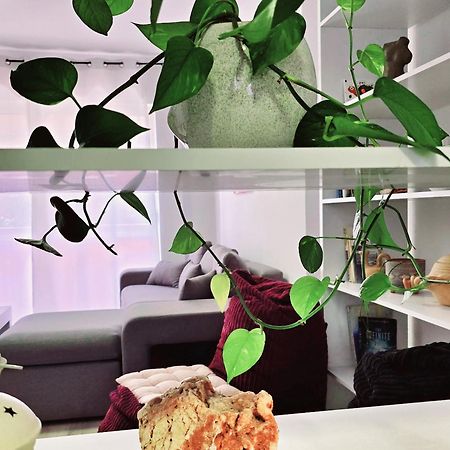Appartement Micasatucasa Tirana Extérieur photo